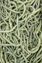 Judías verdes