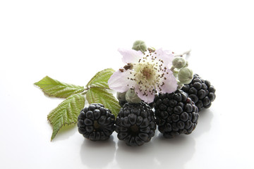 Mures,fleur et feuilles