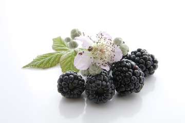 Mures,fleur et feuilles