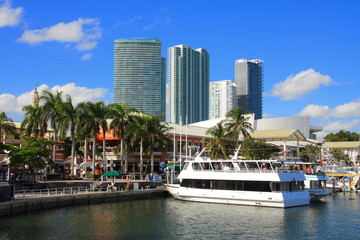 Fototapeta na wymiar Miami day,Florida