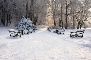 ławki w parku zimą - obrazy, fototapety, plakaty
