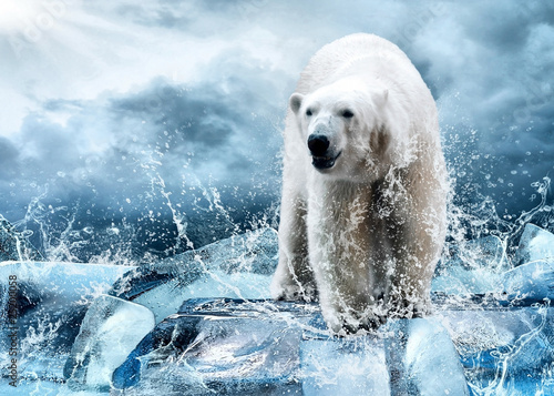 Белый медведь во льдах без смс