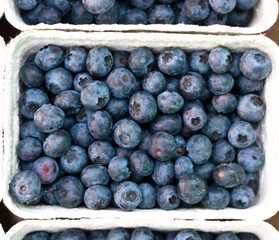 Waldbeeren