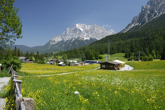 Bl&uuml;hende Wiesen am Fusse der Zugspitze bei Biberwier in Tirol.