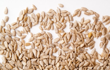 seeds