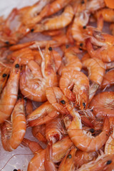 Crevettes rose