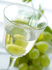 Wine
