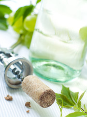 Corkscrew and stopper
