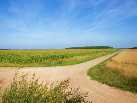Feldweg