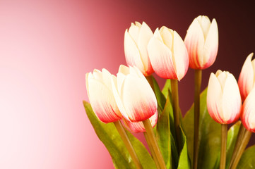 Bunch of tulip flowers on the table