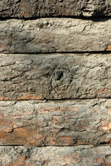 Tree bark texture © birdmanphoto