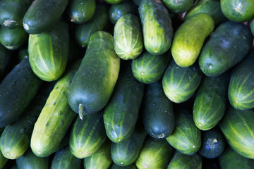 Pile of Cucumbers