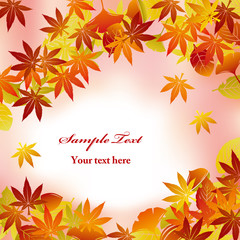 Fototapeta premium Autumn Foliage Background