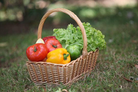 panier de l&eacute;gumes