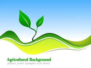 Agricultural Background
