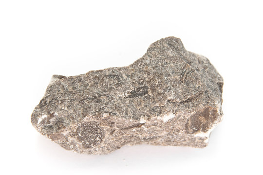 limestone with nummulites