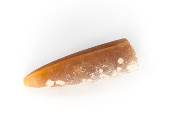 belemnite - belemnella