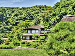 Fototapeta na wymiar Zielony dom ogród japoński sos mori