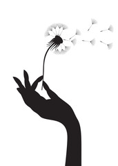 Dandelion in a hand