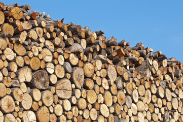 rivendita di legname