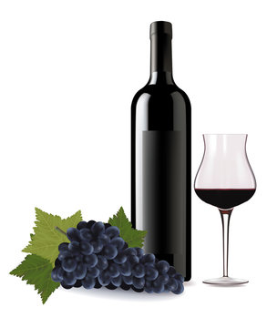 A wine bottle and glass of wine and some grapes. Vector.