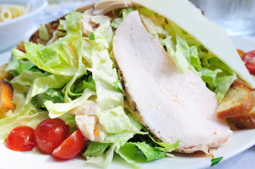 Fresh chicken salad with tomatoes