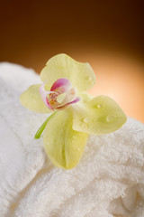 aromatherapy and spa concept-aromaterapia e spa