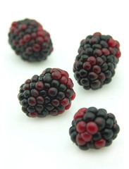 Blackberry