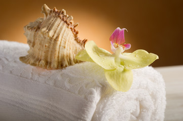 aromatherapy and spa concept-aromaterapia e spa