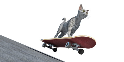 skate cat 2 freigestellt © Mathias Weil