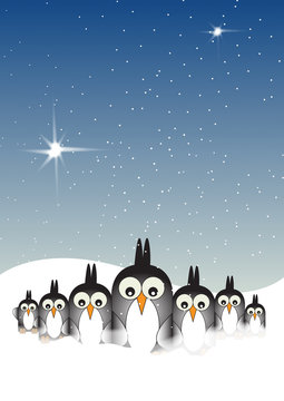 Snowy Penguins