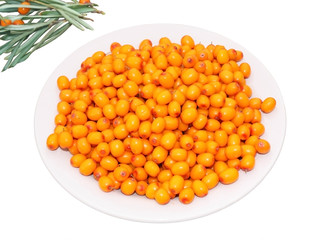 Тарелка с ягодами облепихина белом фоне и веточки облепихи