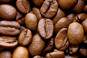 Close up macro shot of coffee bean