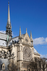 Notre Dame des Paris closeup