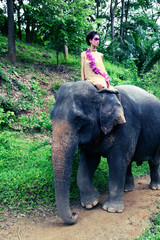 Fototapeta premium Model and elephant.