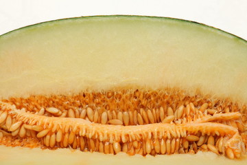 Melón horizontal