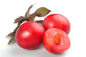 Red plum
