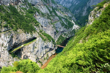 Piva river, Montenegro - obrazy, fototapety, plakaty