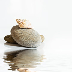 galets et coquillages sur l'eau