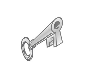 Vector illustration a metal key