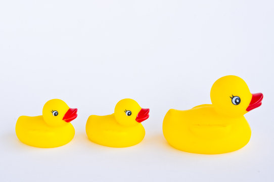 rubber duck toy family