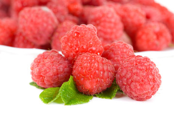 fresh raspberry