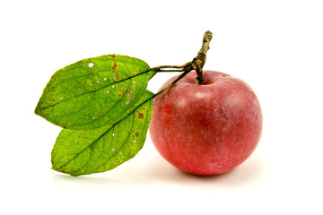 red apple with green leaves on white background