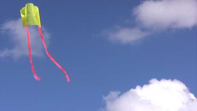 Kite flying in a summer sky