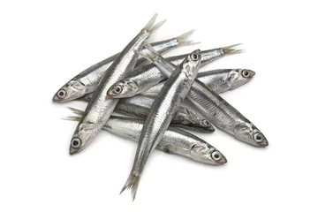 Stickers pour porte Poisson Fresh European anchovy fish