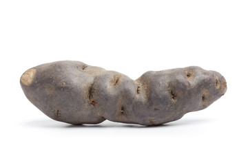 Whole single vitelotte noir potato