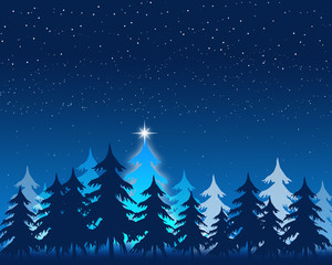 Fototapeta premium イブの夜空