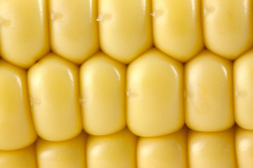 Corn