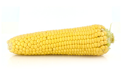 Corn