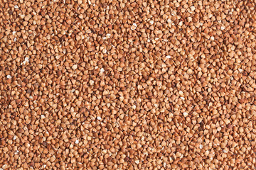 buckwheat background